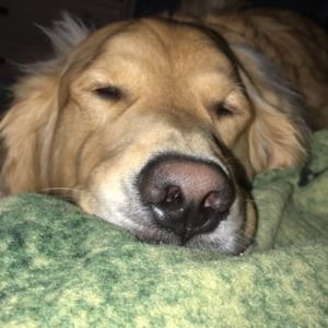 Meet your Posher, Bored